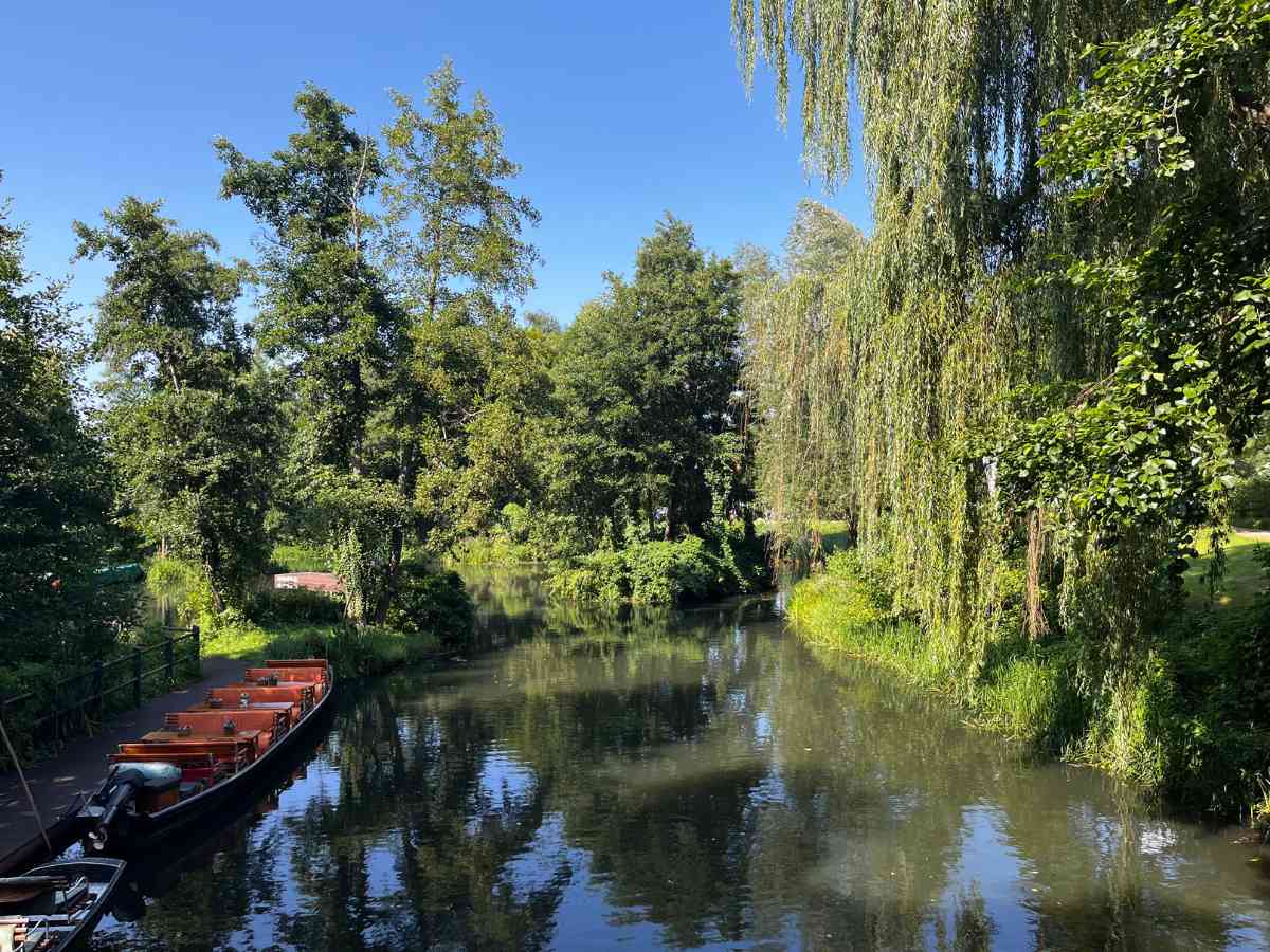 canale spreewald lubben
