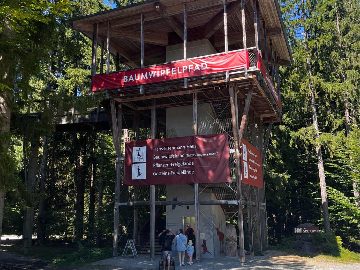 ingresso treetop walk bavarian forest