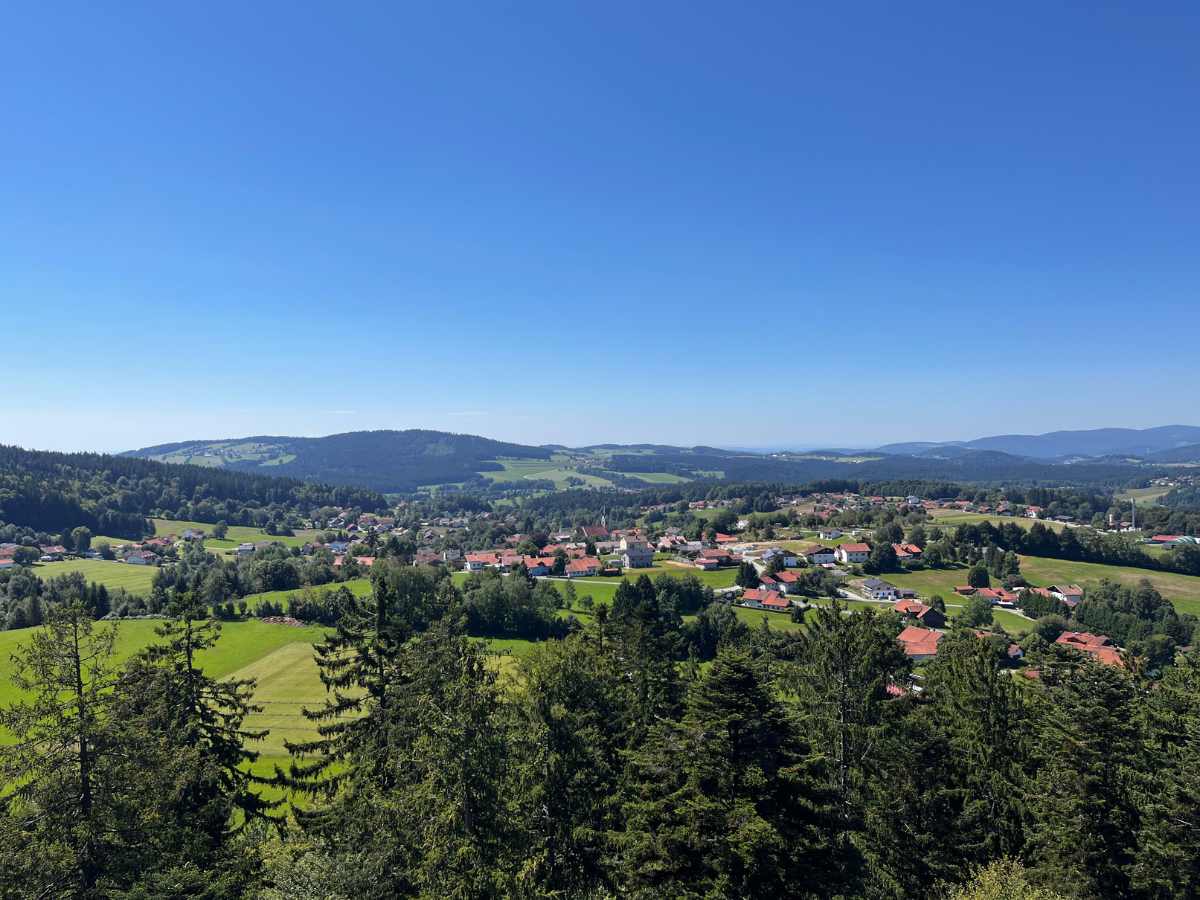 panorama da torre panoramica della foresta bavarese