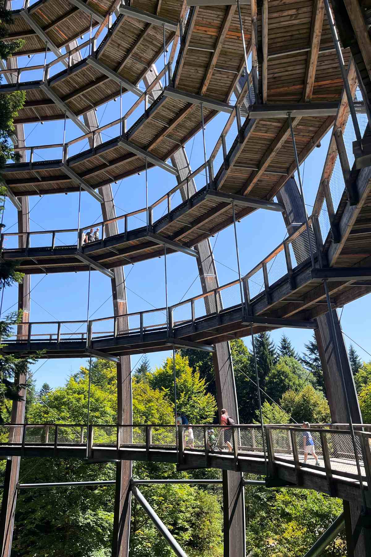 percorso torre panoramica foresta bavarese