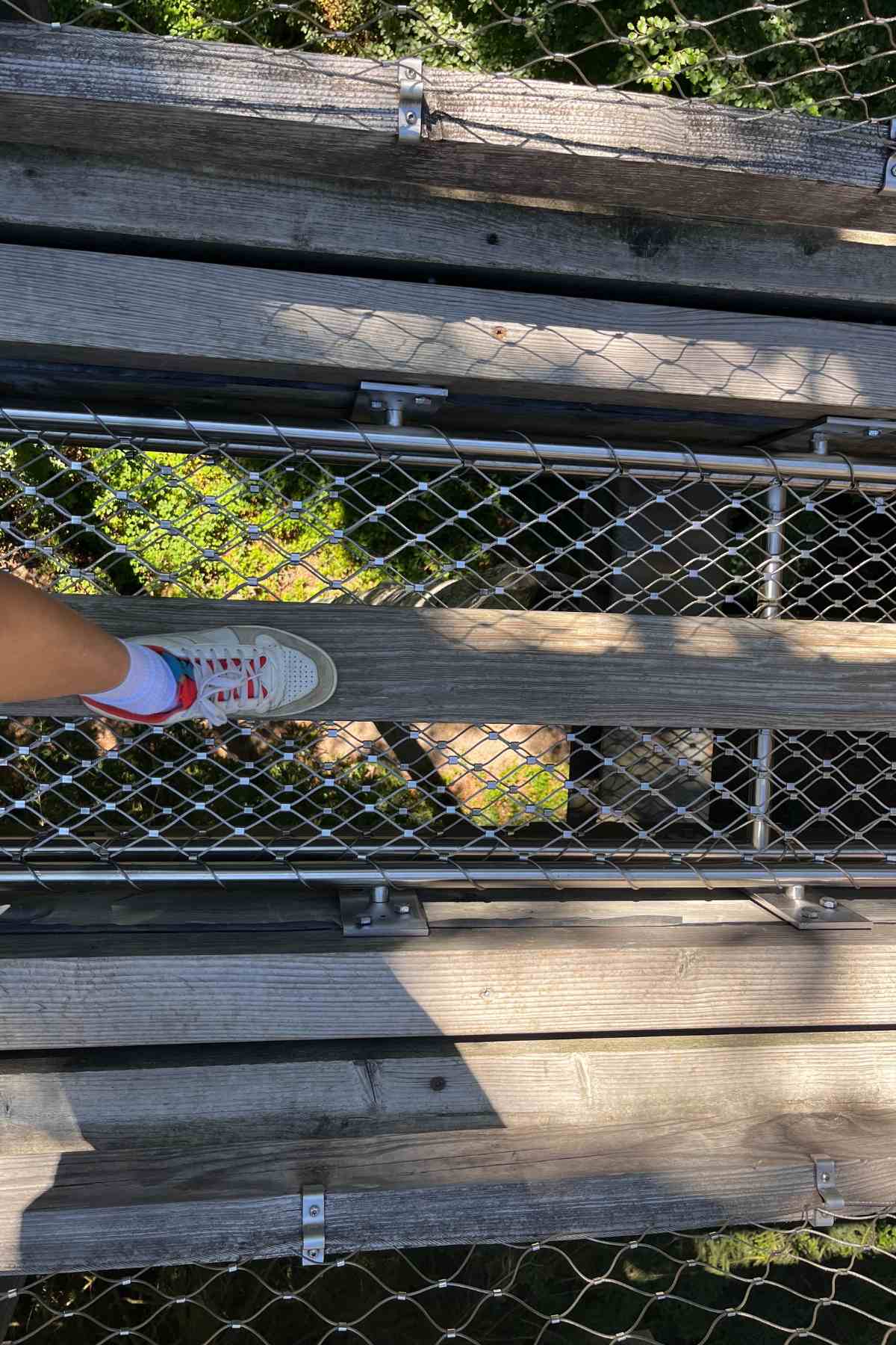 rete a 20 metri d'altezza nel sentiero fra le cime degli alberi