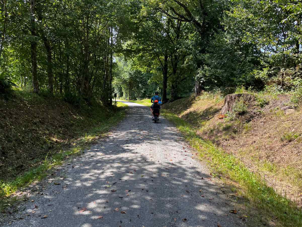 percorso ciclabile nel bosco a waldkirchen