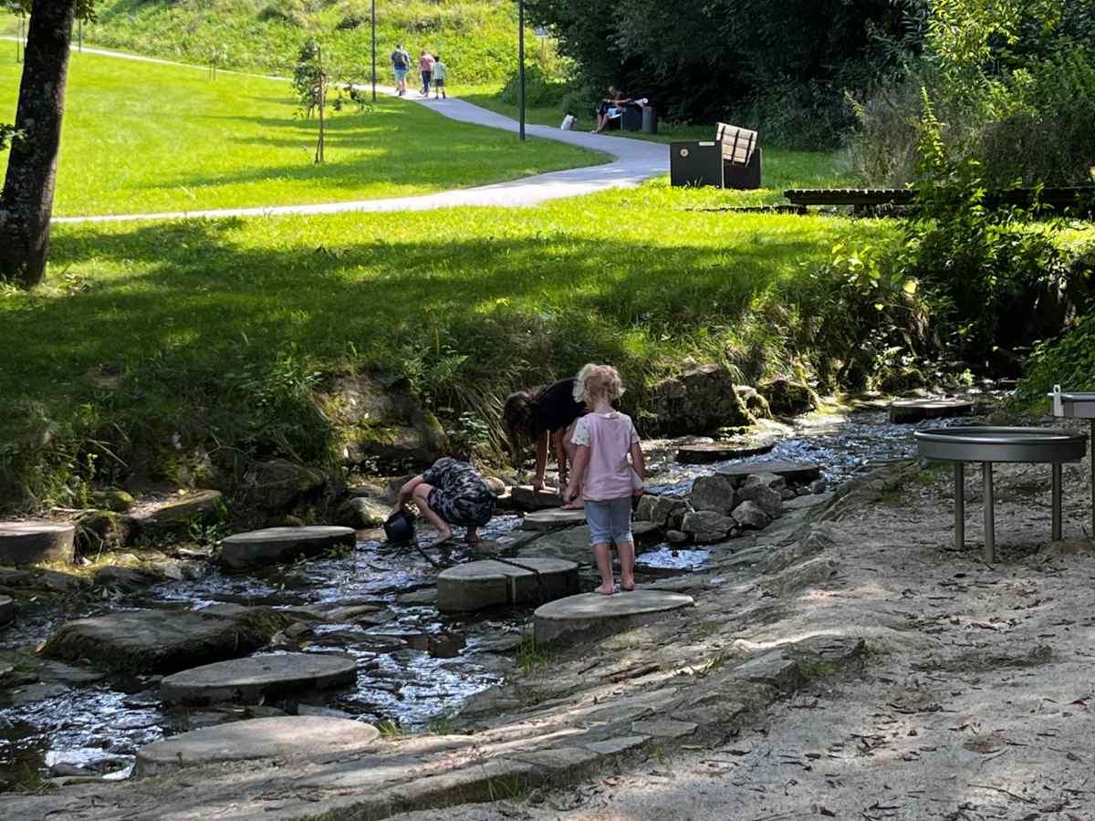 ruscello allo stadtpark di waldkirchen