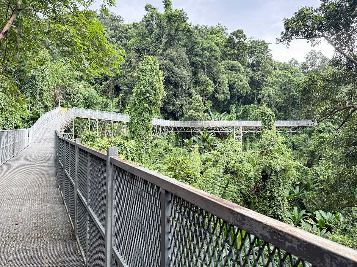Queen Sirikit Botanical Garden canopy walk ponte