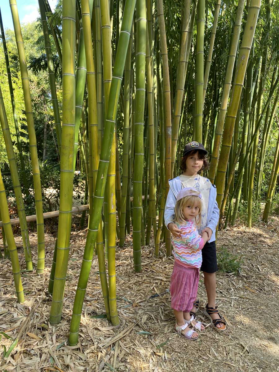 bambini loira terra botanica