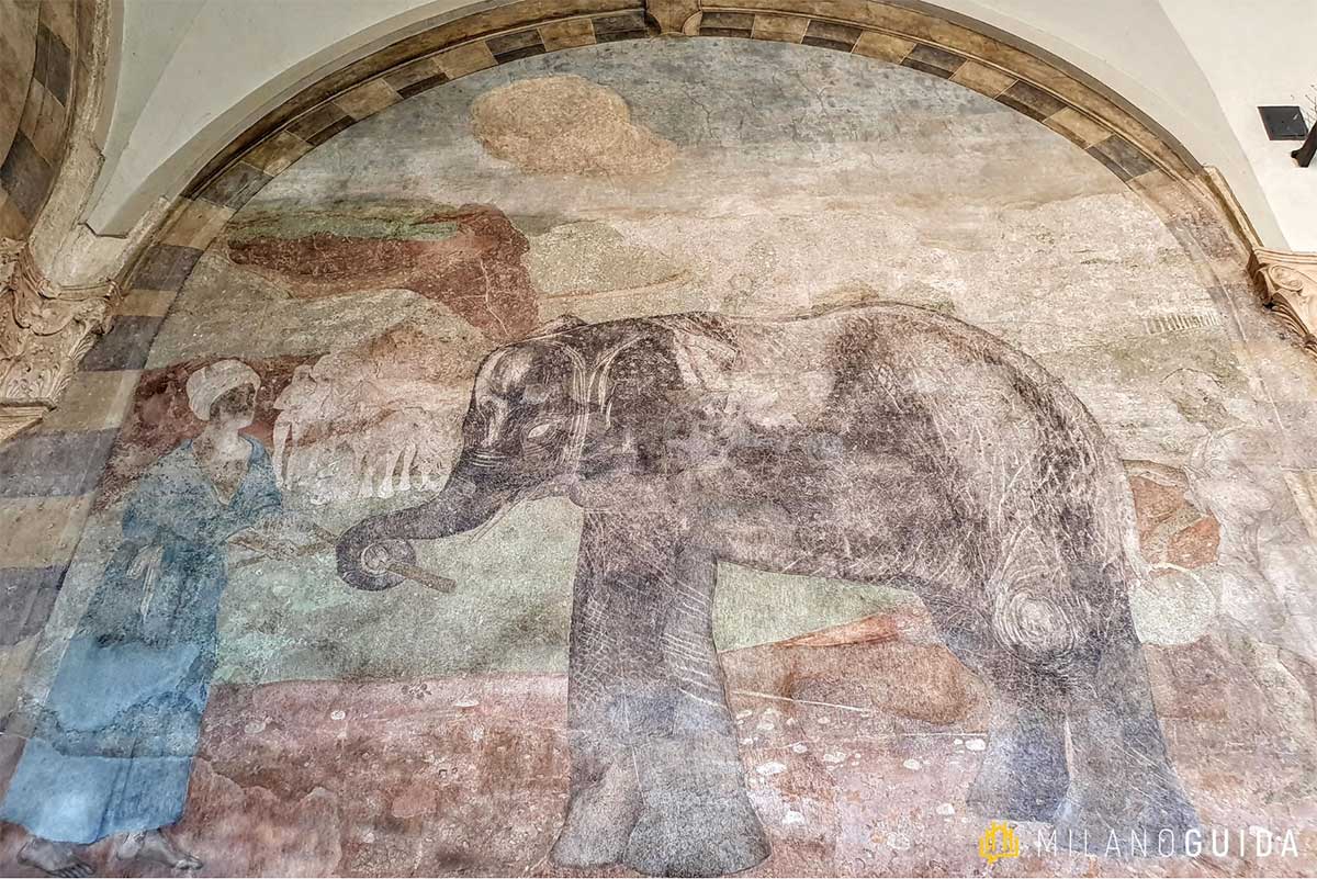 visita guidata castello sforzesco bambini
