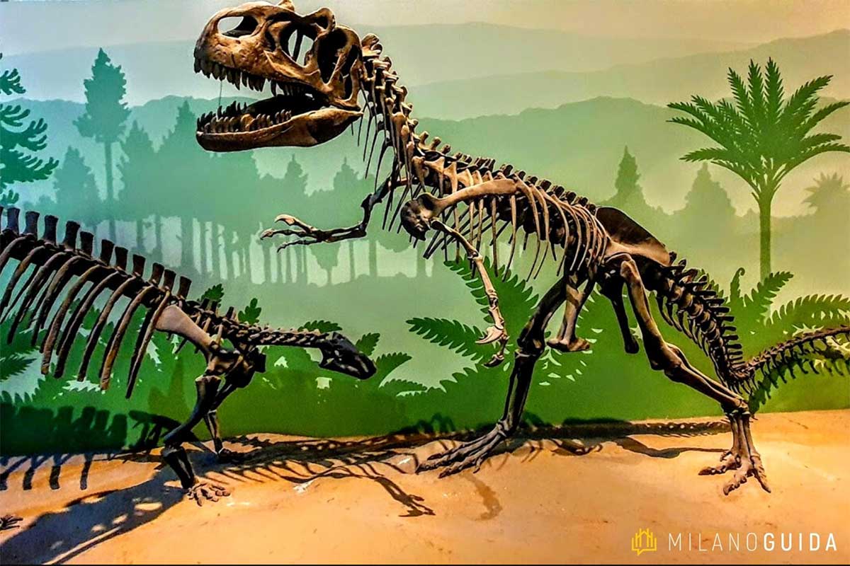 visite guidate milano bambini museo scienze naturali