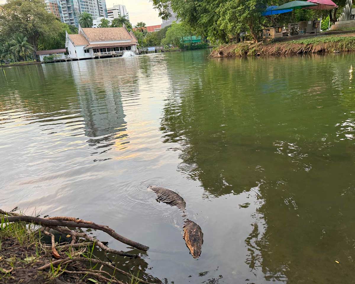  Lumphini Park