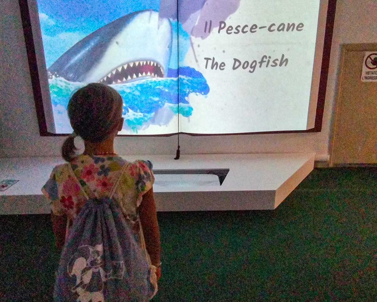 Museo pinocchio Firenze