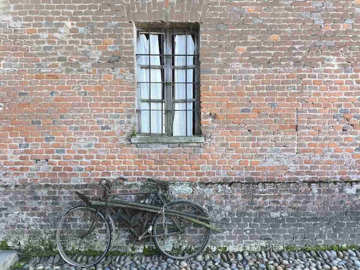 bicicletta tenuta colombara livorno ferraris