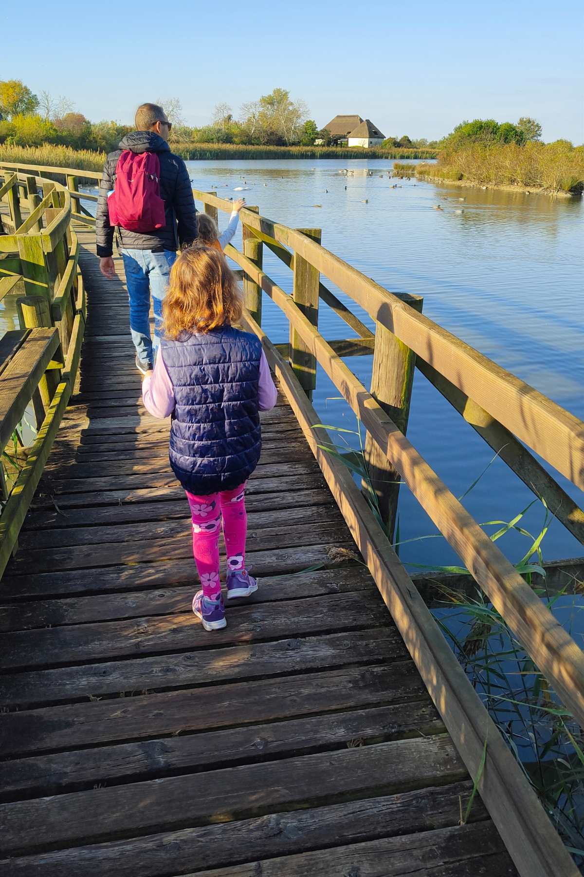 bimba cammina accanto alla laguna