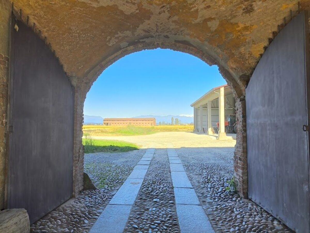 paesaggio tenuta colombara vercelli