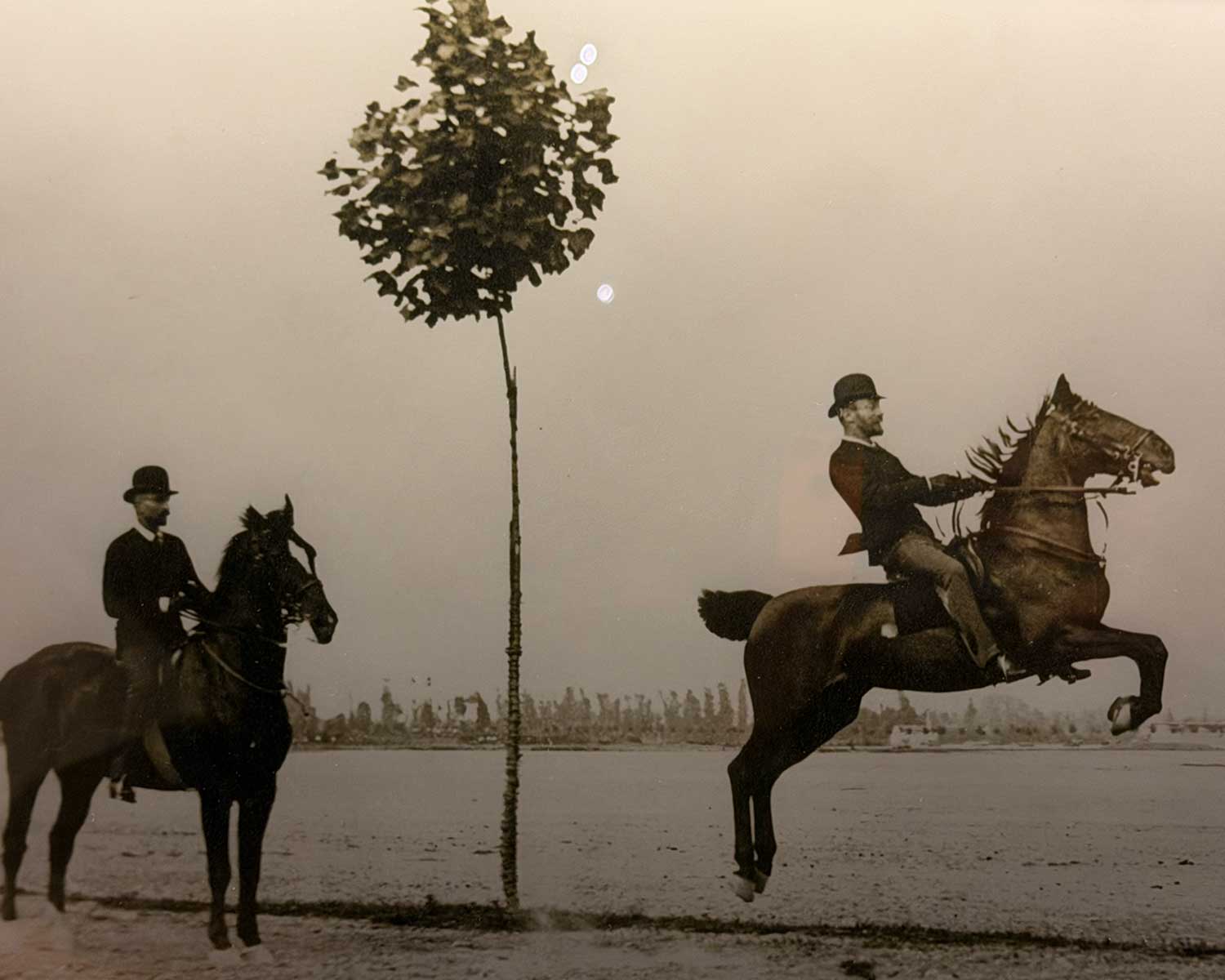 I fratelli Bagatti Valsecchi