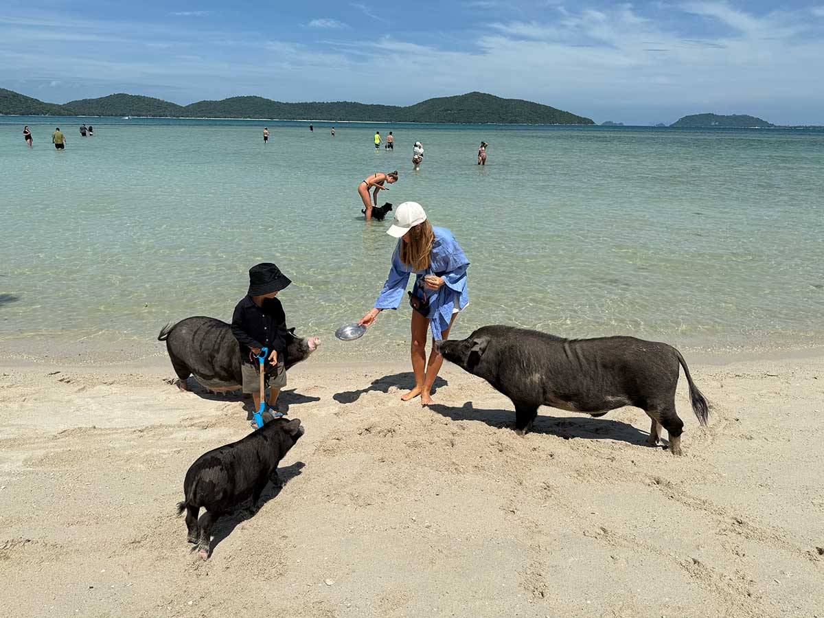 mamma con bambino a koh samui cosa fare gita isola maiali
