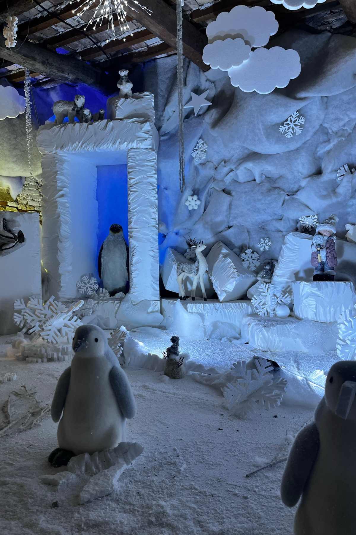 pinguini a natale a mombaroccio