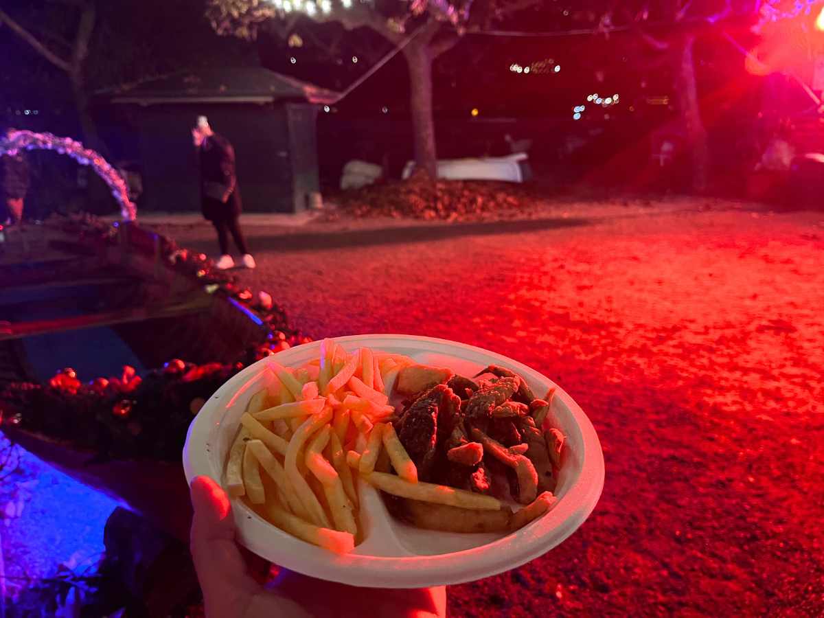 piatto di pesciolini all'isola di luci sul lago maggiore