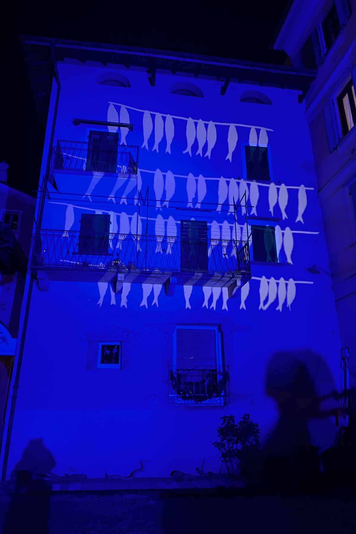 proiezione di pesci all'isola di luce sul Lago Maggiore