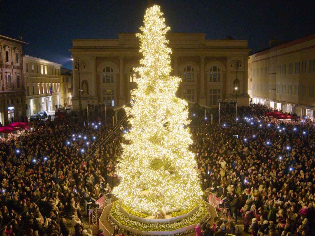 grande albero di luci in piazza a Pesaro per Natale