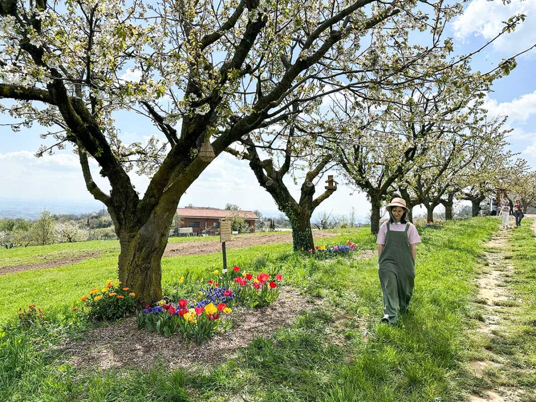 Cosa fare con i bambini in collina a Torino :Giardino di Rosero
