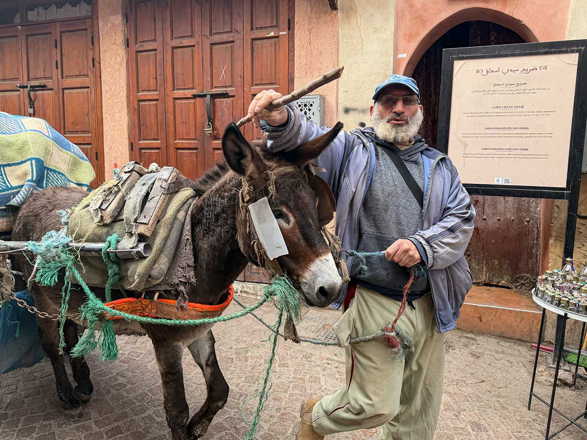 Marrakech sicurezza: carretto con l'asino