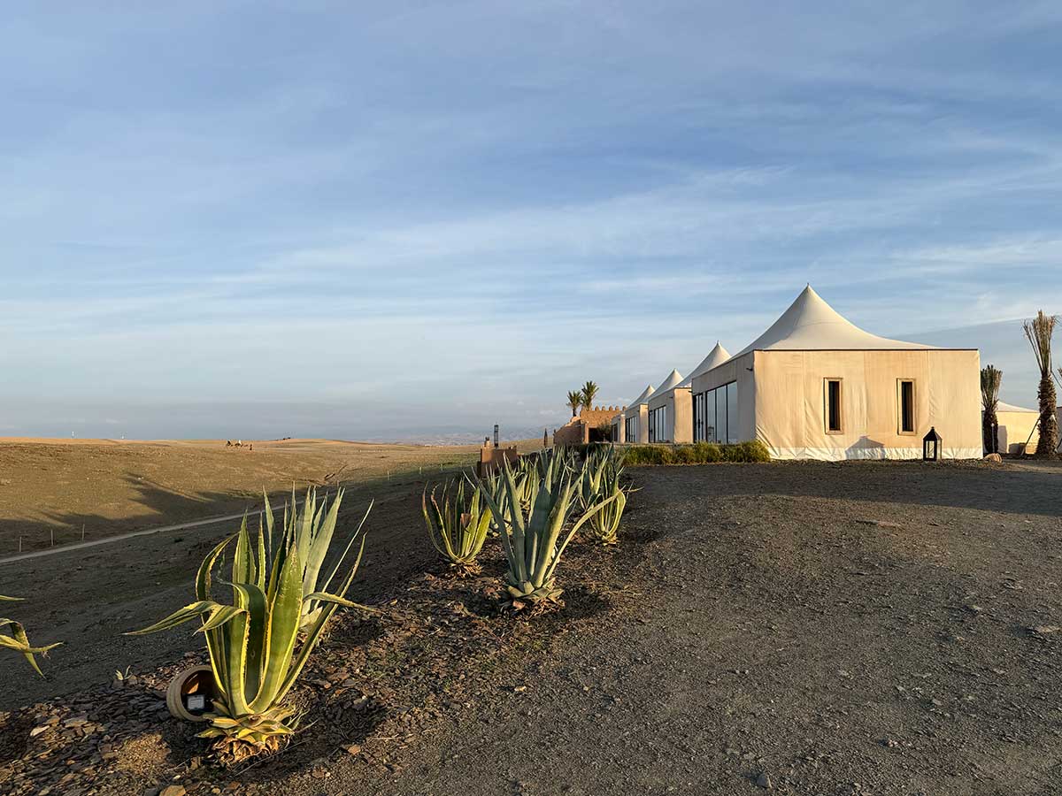 White Camel deserto di Agafay vista