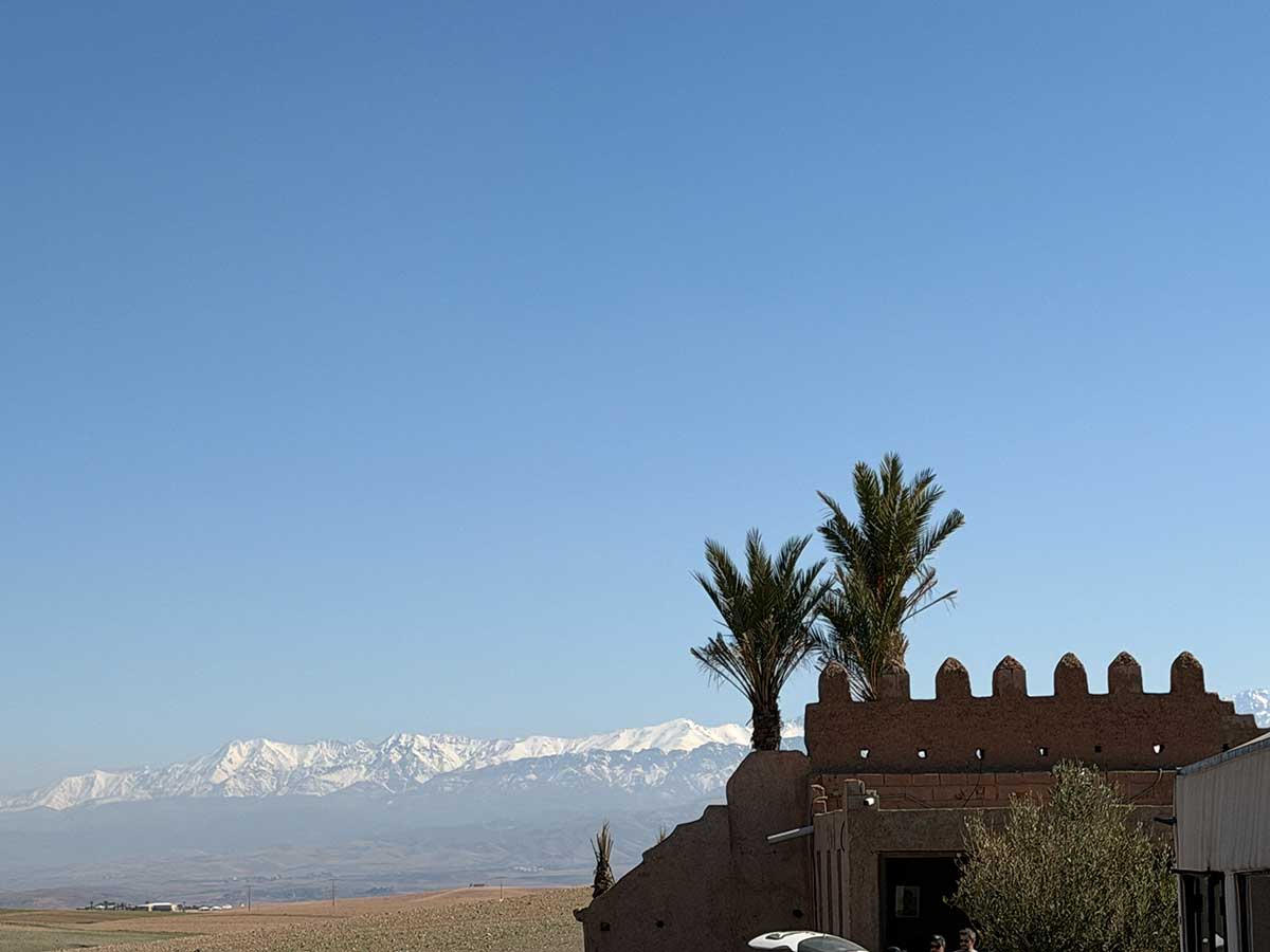 White Camel deserto di Agafay
