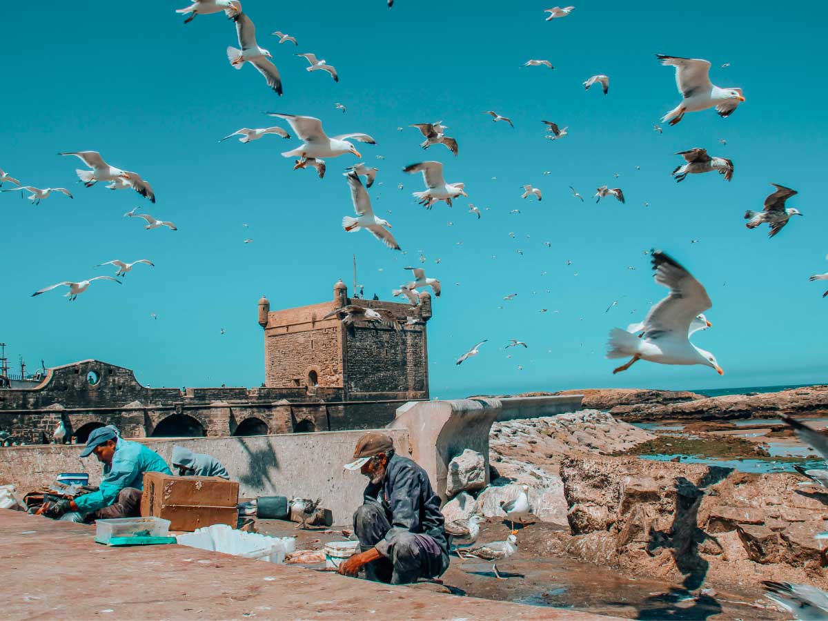 Essaouira, escursione da Marrakech