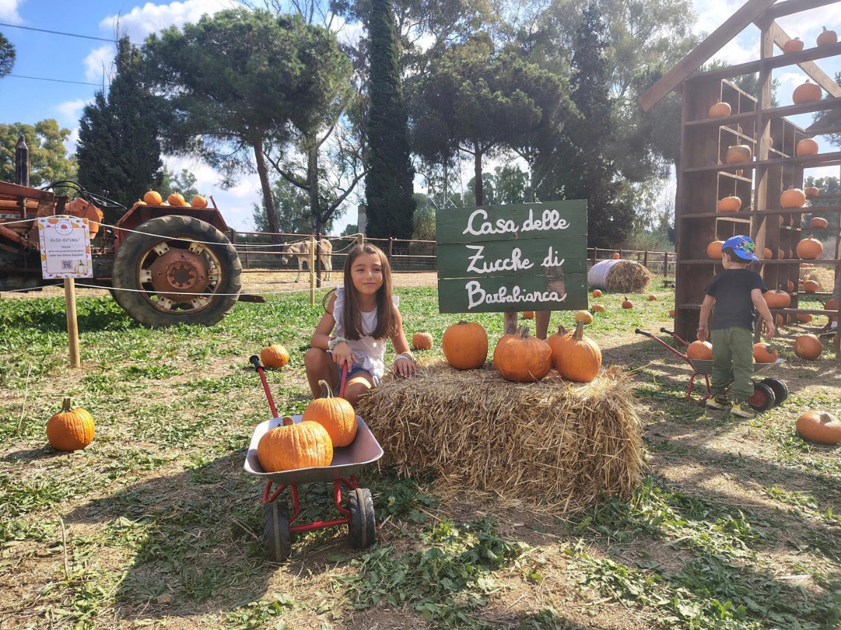 Campo di Zucche Roma, barbabianca 