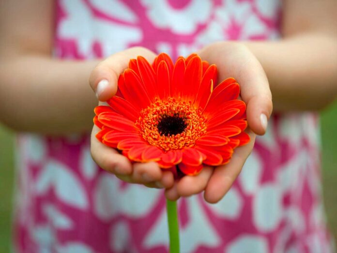 Cosa fare a Torino questo weekend con i bambini: mani di bimba con un fiore
