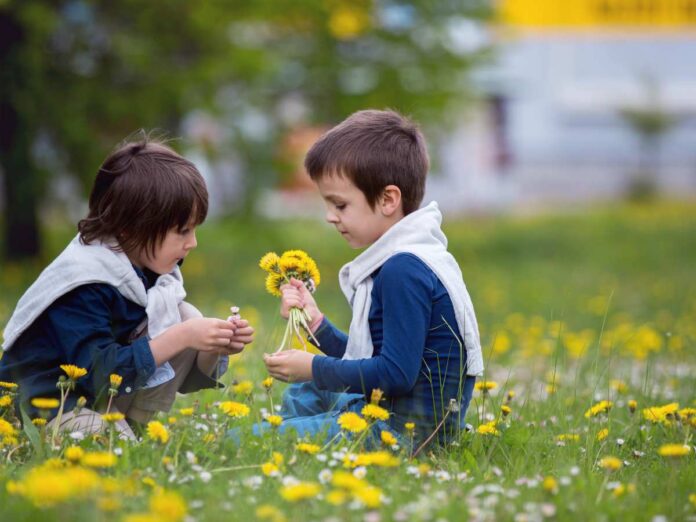 cosa fare in trentino alto adige questo weekend bambini raccolgono fiori