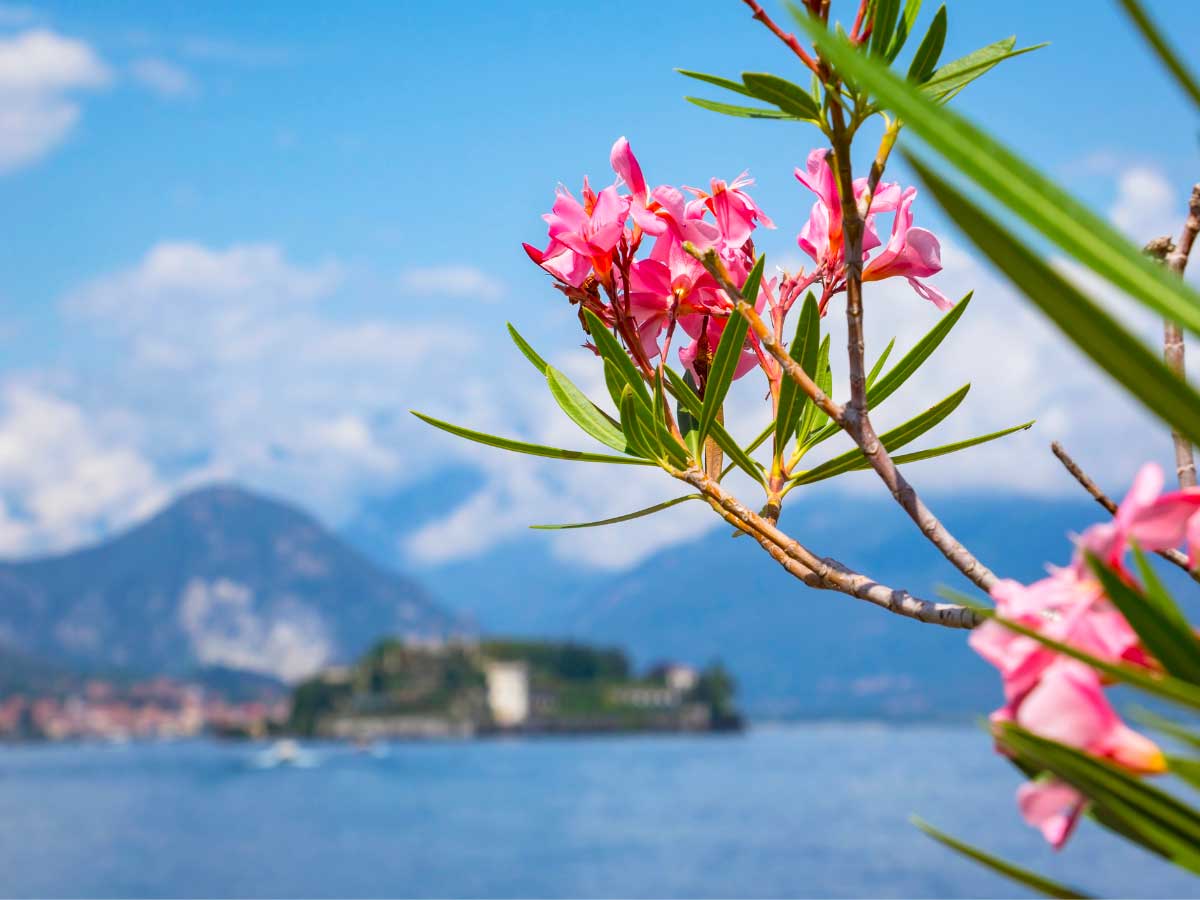 Gita in primavera da Torino: lago