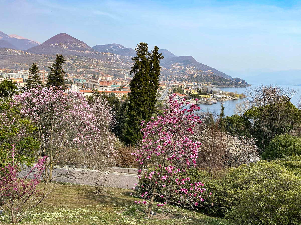 Gite di Primavera da Torino: isole Borromee