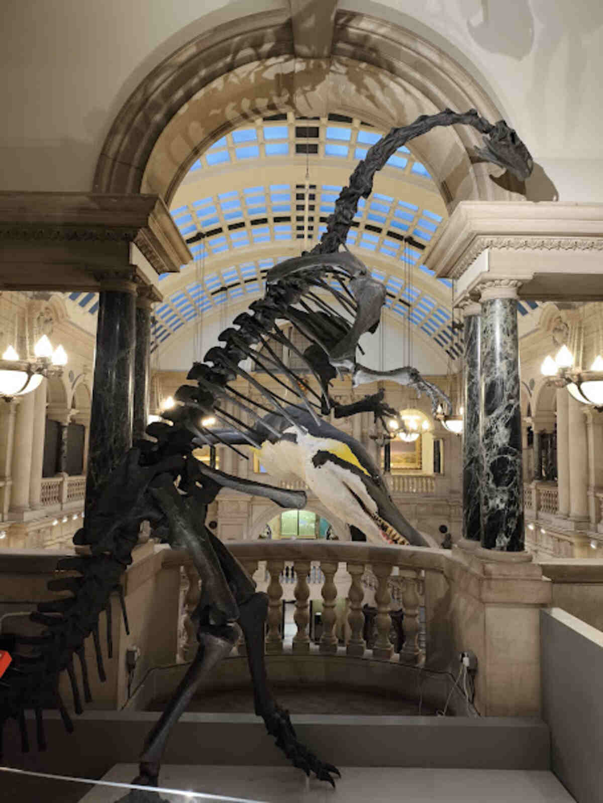 dinosauro bristol museum