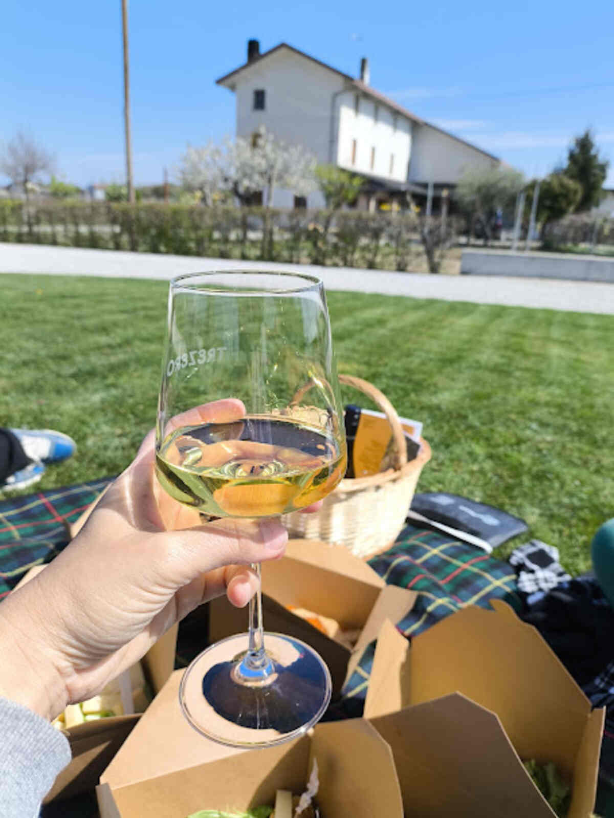 Cantina TreZero picnic e bicchiere di vino