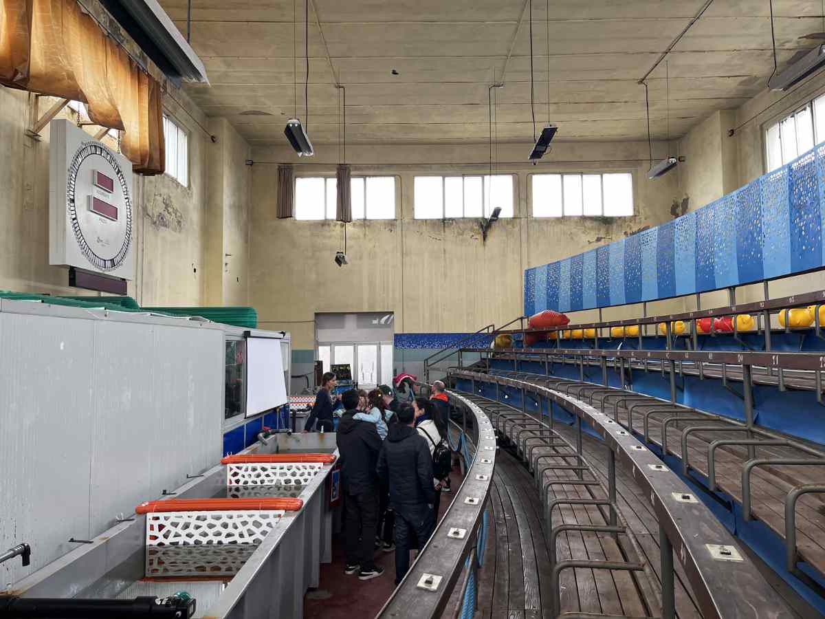 tribuna ex mercato del pesce cestha a Marina di Ravenna
