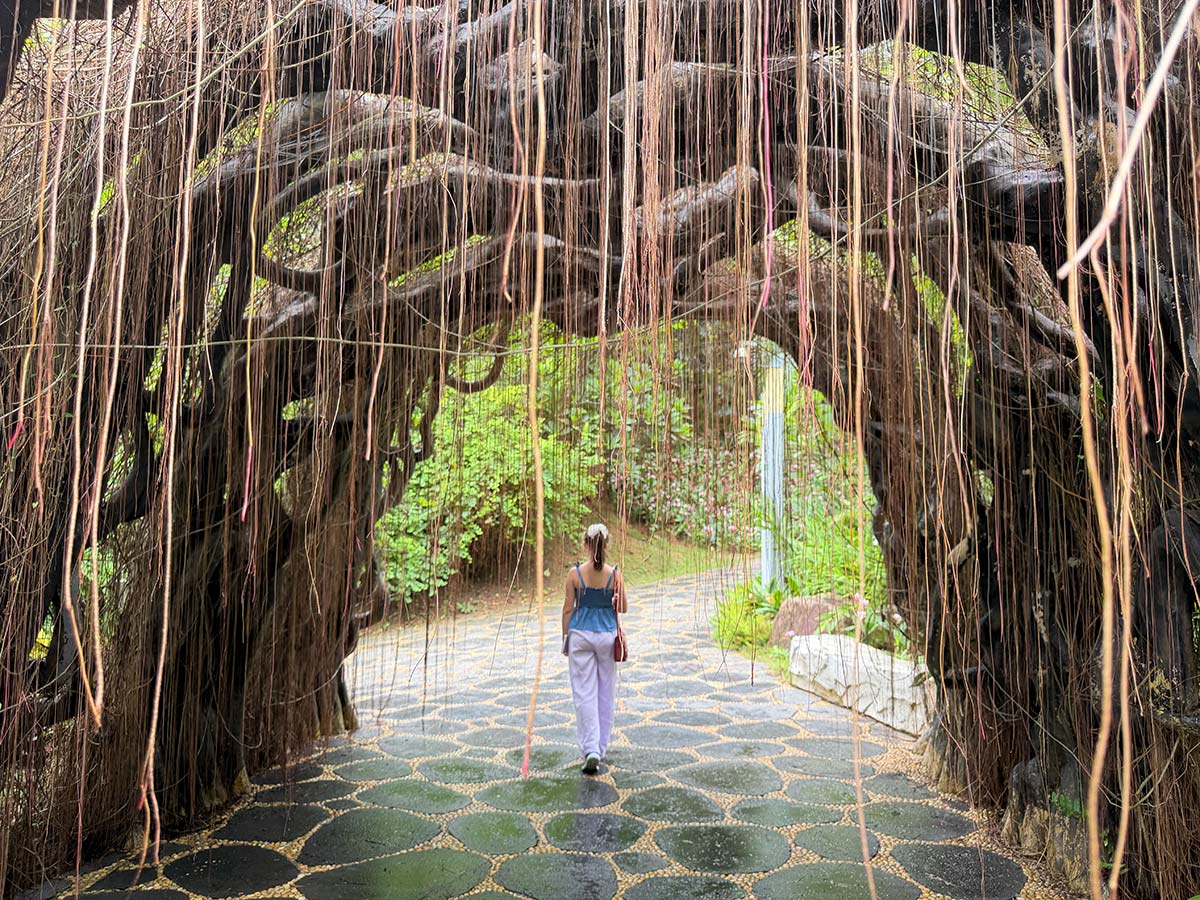 Botanic garden a Canton