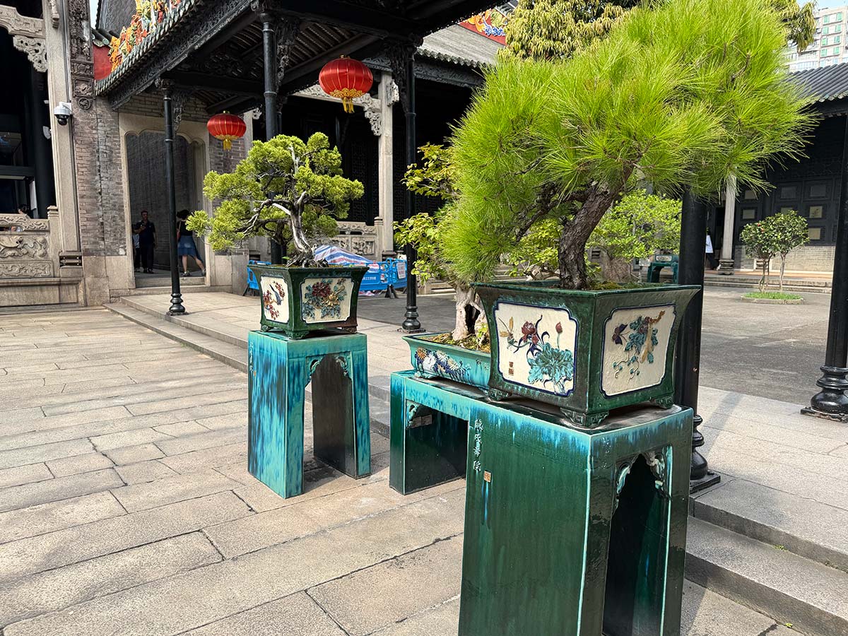 Chen Clan Academy: vasi decorati con alberelli