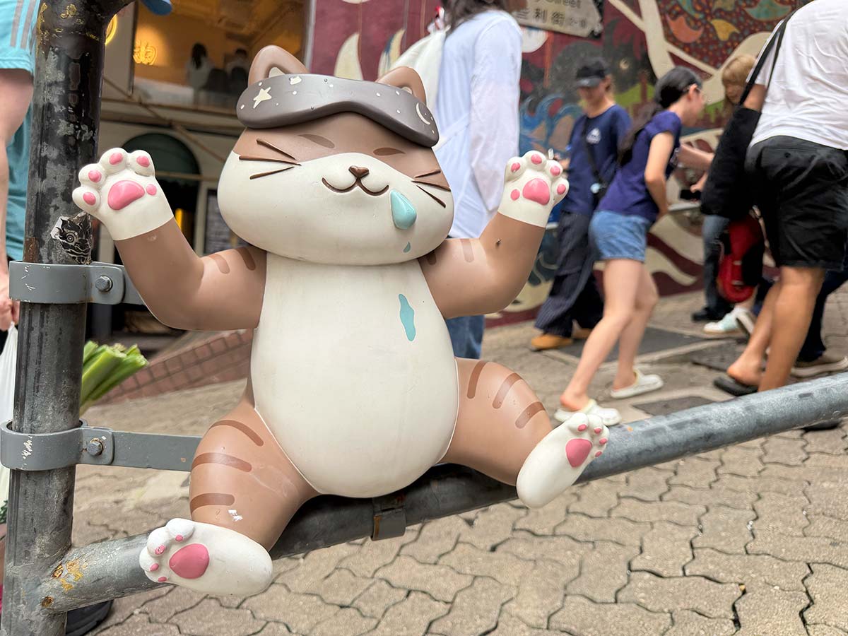 Cosa vedere a Hong Kong con i bambini: gatti