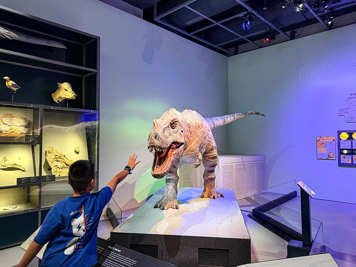 Hong Kong Science Museum: bambino e trex