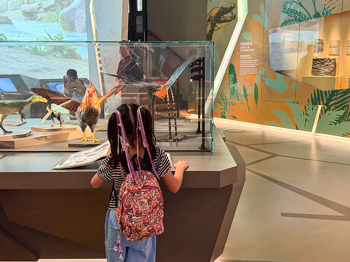 Hong kong con i bambini: musei