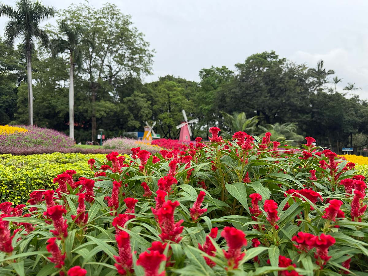 Yuntai Garden a Canton
