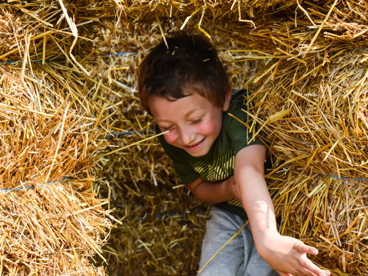 Bambino in un labirinto di paglia nel campo di zucche di Milano
