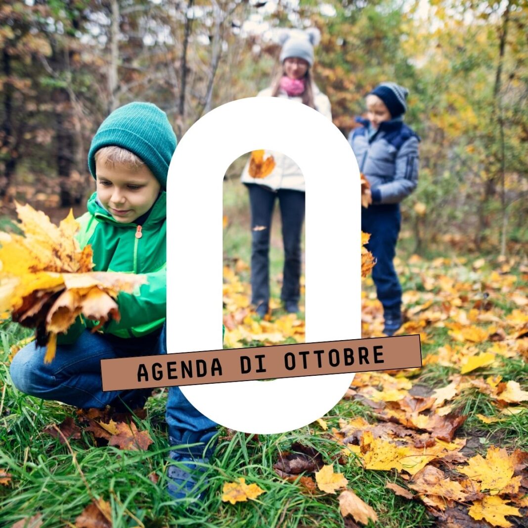 cosa fare in Trentino Alto adige con i bambini questo weekend, bambini raccolgono foglie