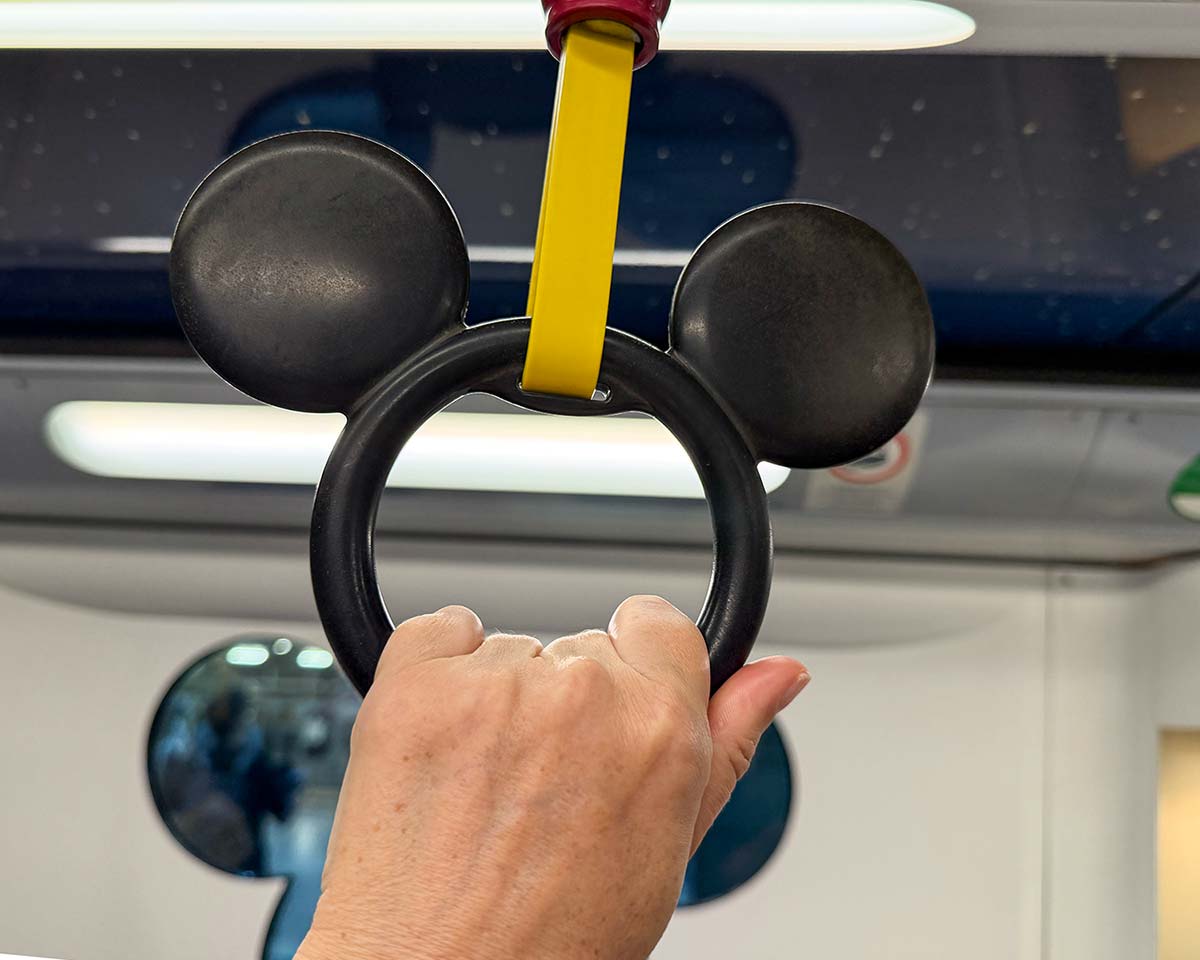 Maniglie treno Disneyland Hong Kong